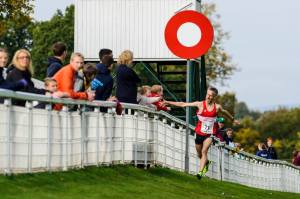 12087101_977253898985217_5594103281679207521_o